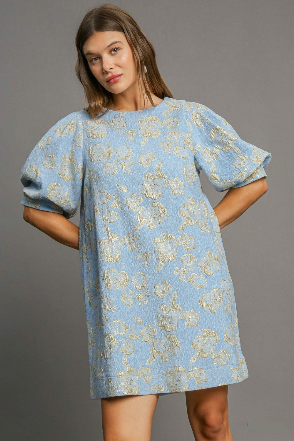 Ashley Floral Jacquard Puff Sleeve Mini Dress