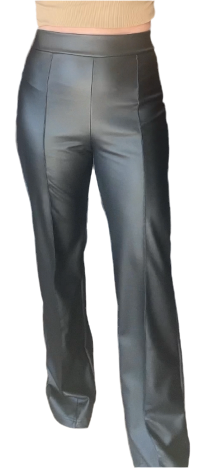 Dress pants high waisted faux leather (Long)