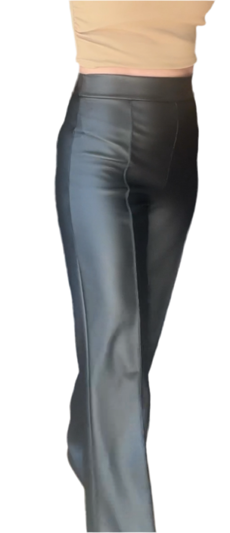 Dress pants high waisted faux leather (Long)