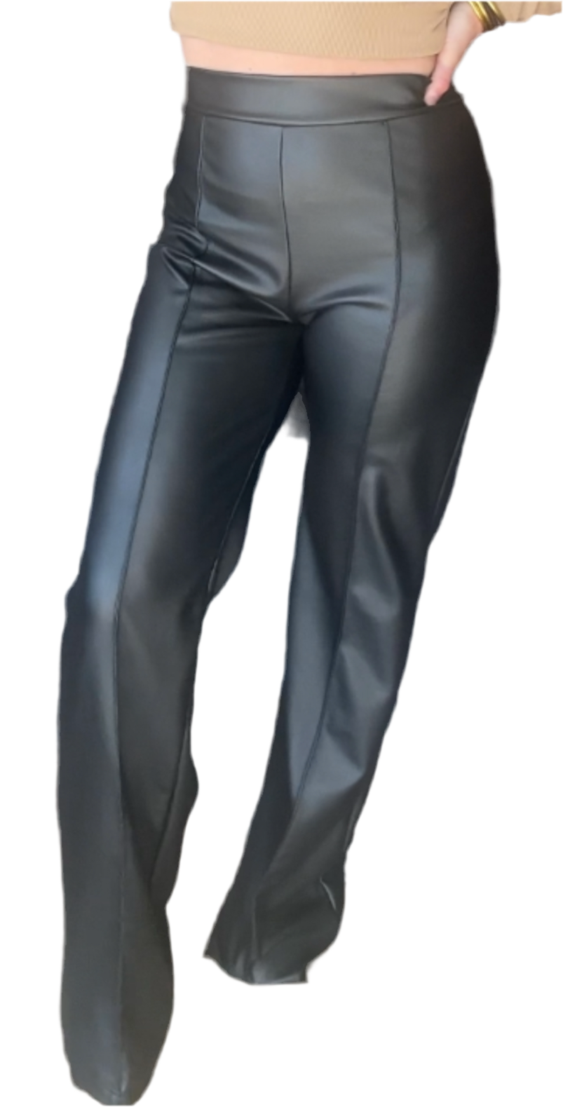 Dress pants high waisted faux leather (Long)