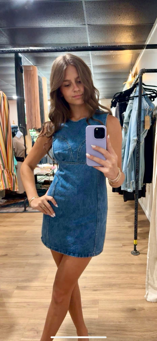 Teagan Denim Mini Dress