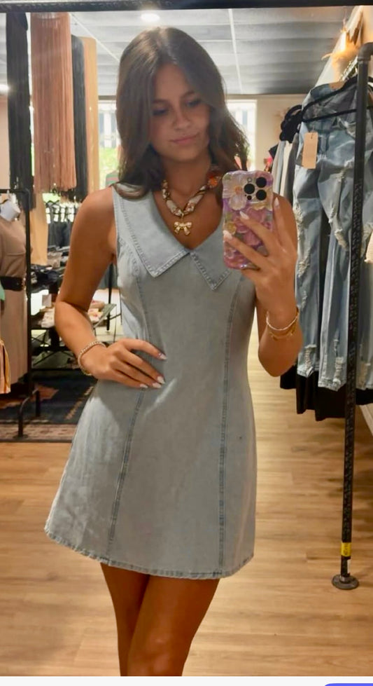 Tulla Collared Sleeveless Denim Dress